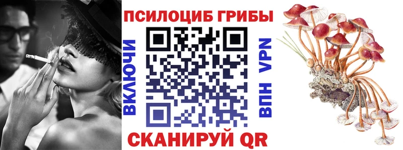 Псилоцибиновые грибы Psilocybe  mega ONION  Сусуман 