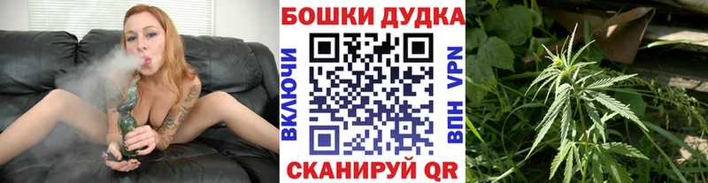 Марихуана гибрид  Сусуман 